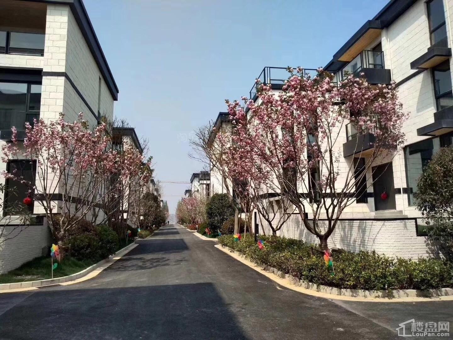 暖山金域城实景图