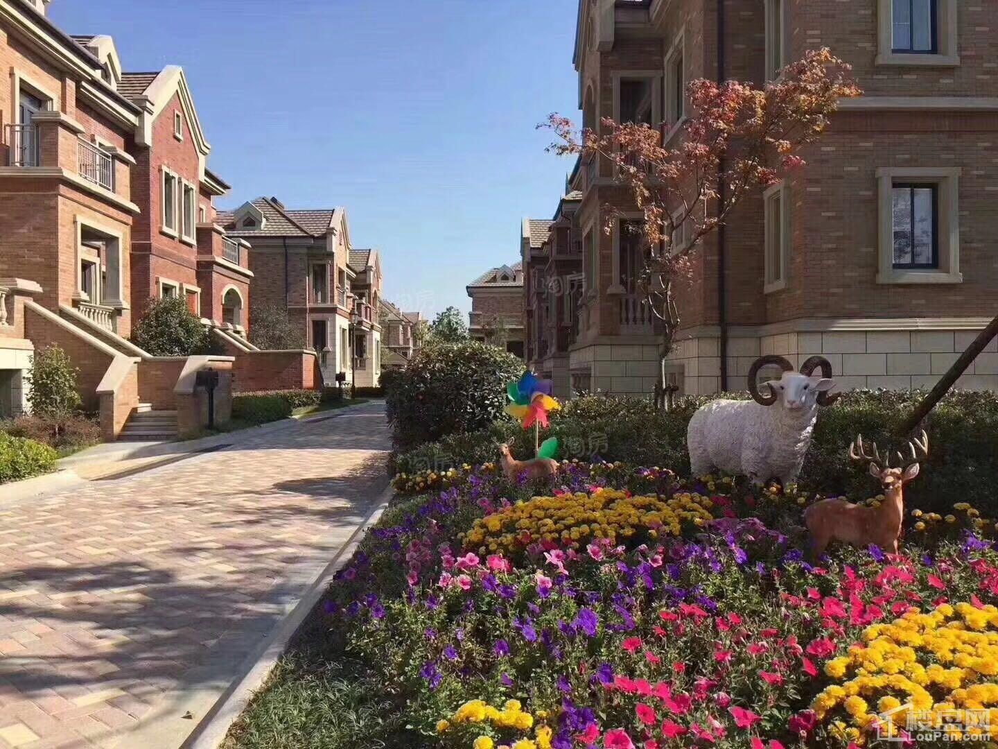样板间