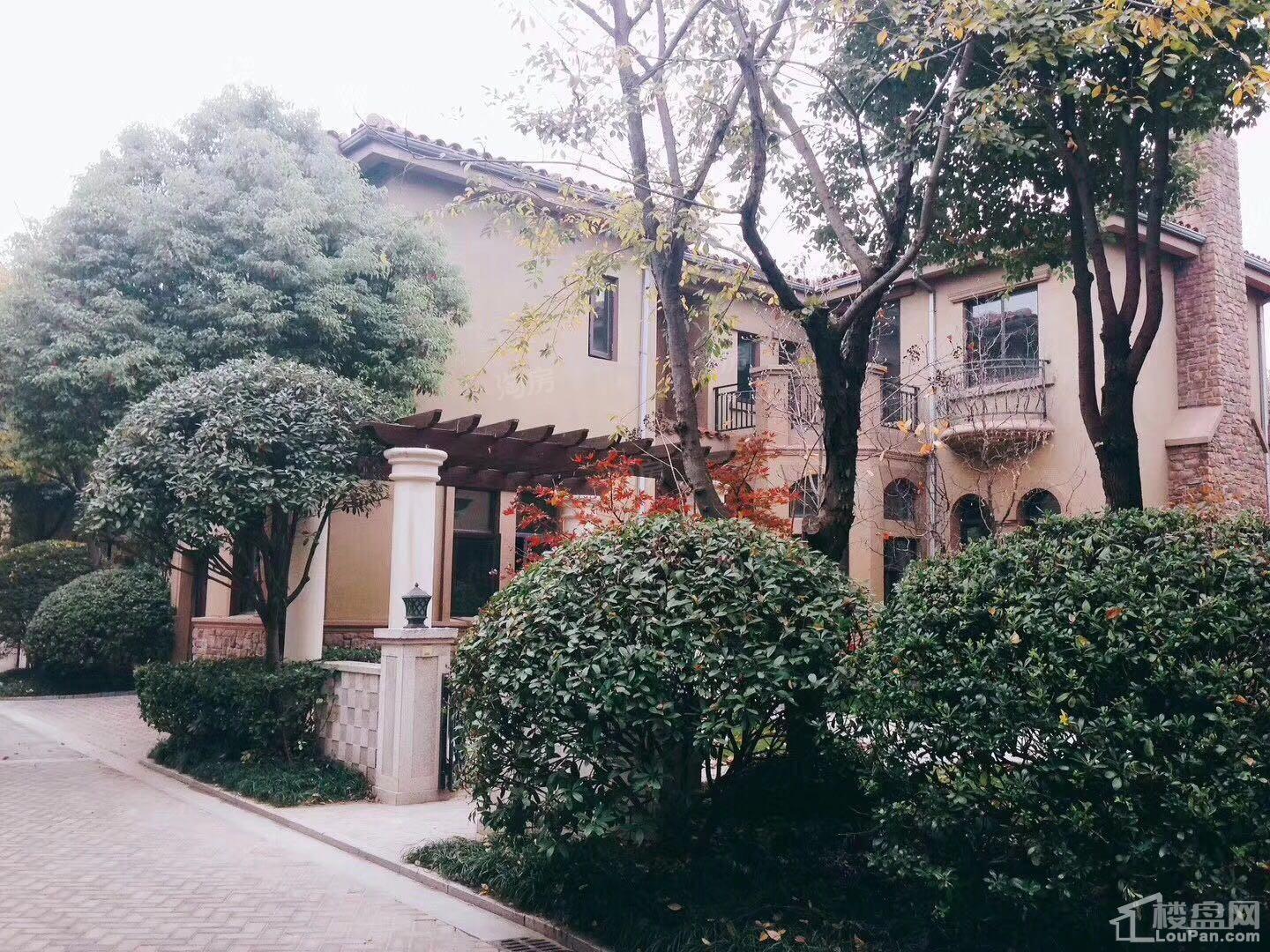 西郊花园布鲁克庄园实景图