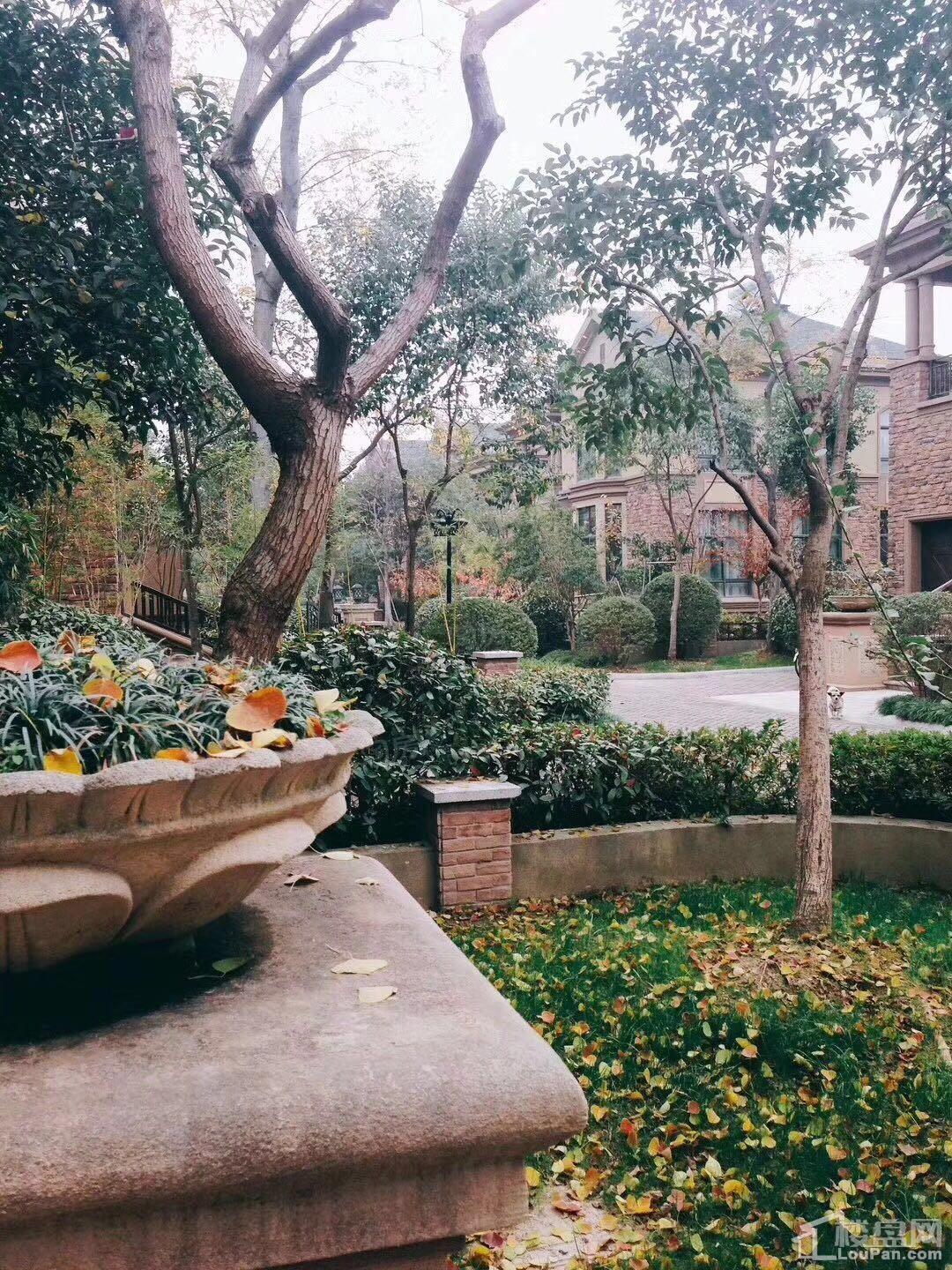 西郊花园布鲁克庄园实景图