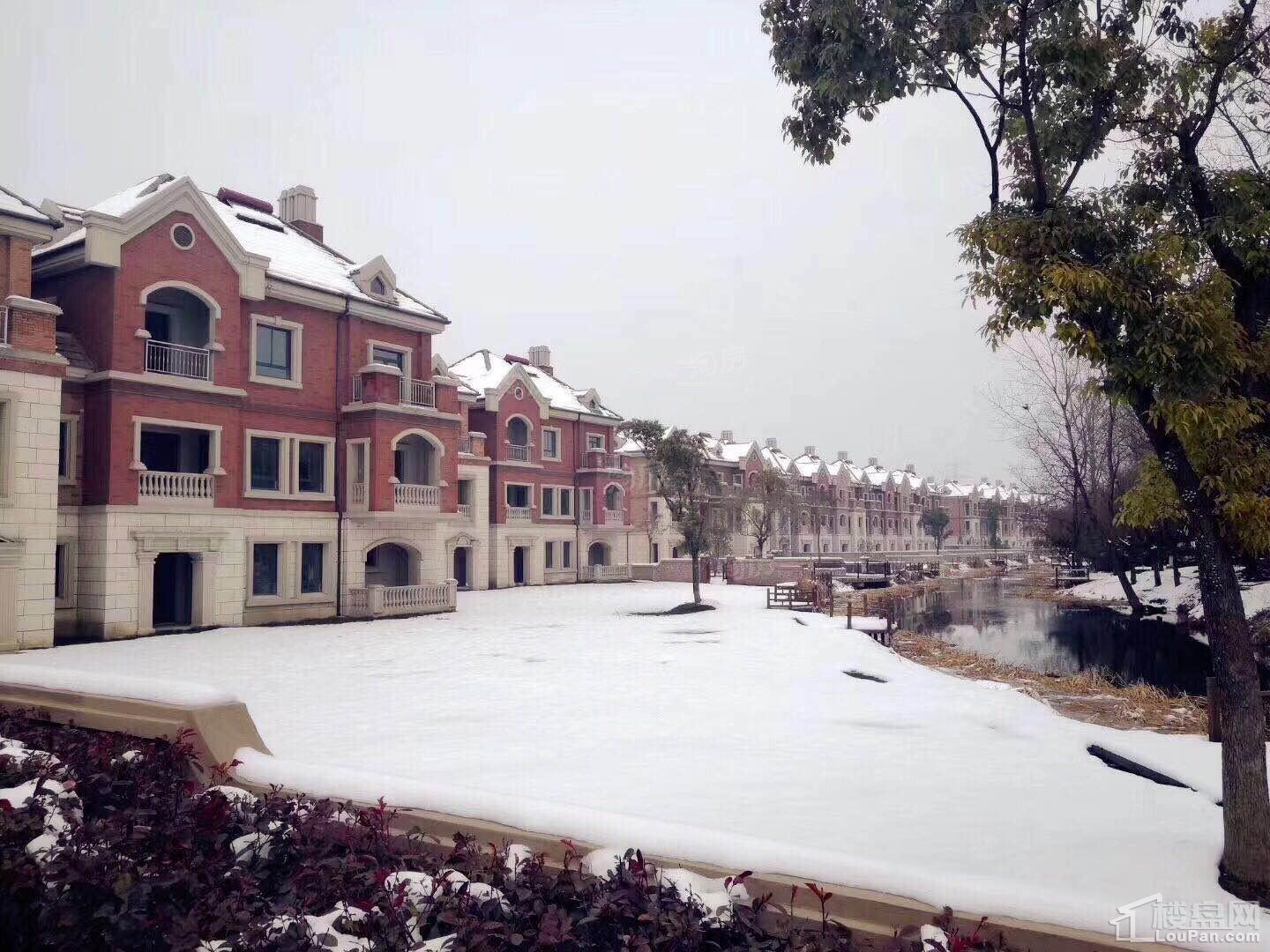 西郊花园布鲁克庄园实景图