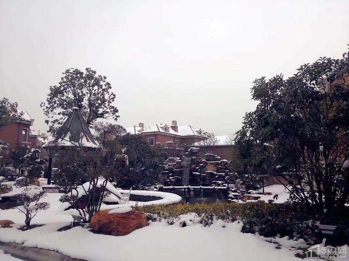 西郊花园布鲁克庄园实景图