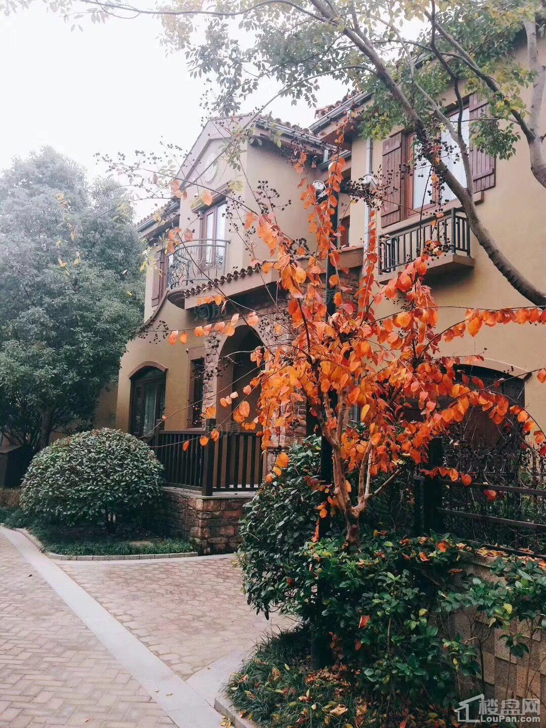 西郊花园布鲁克庄园实景图
