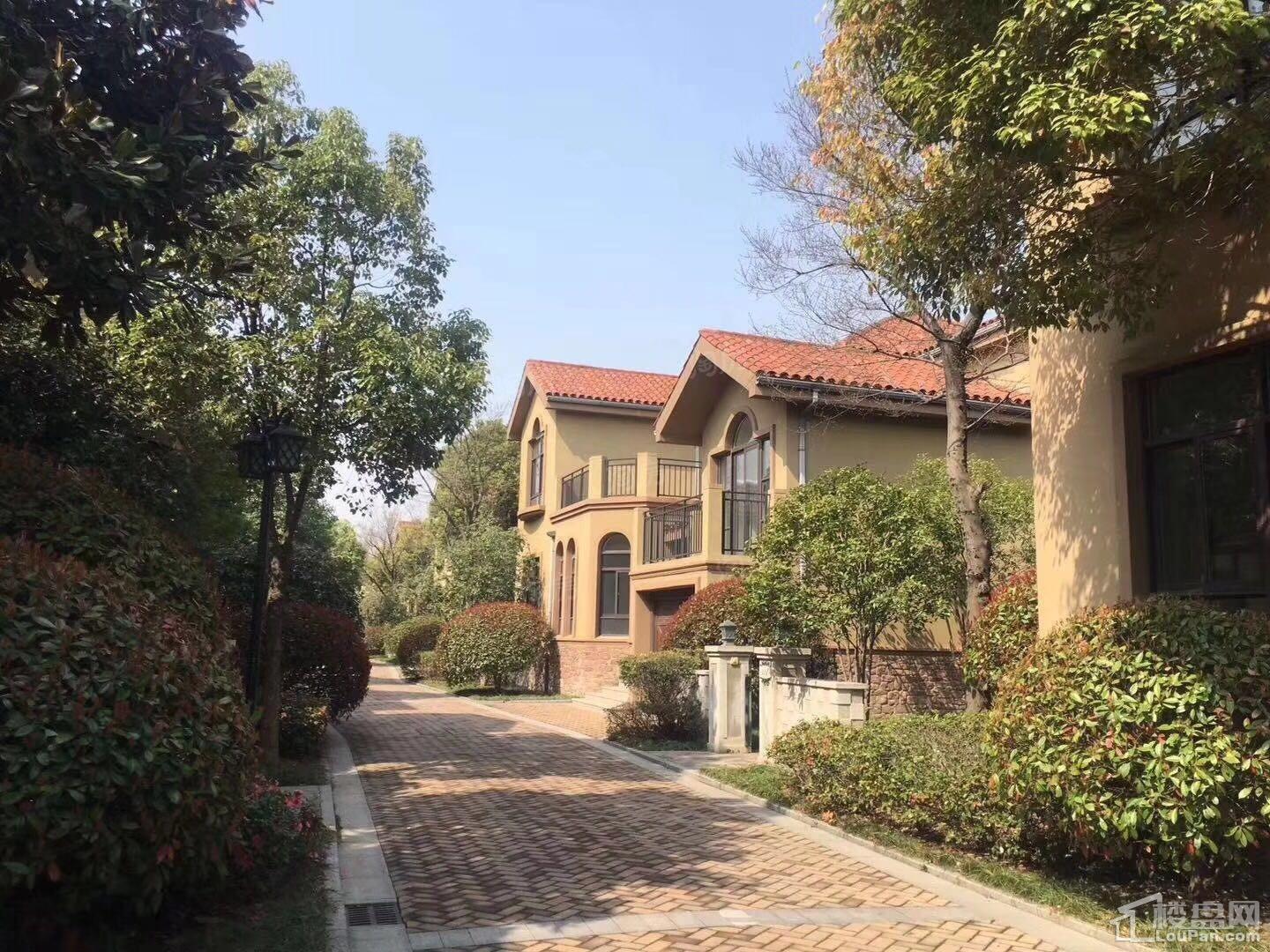 西郊花园布鲁克庄园实景图