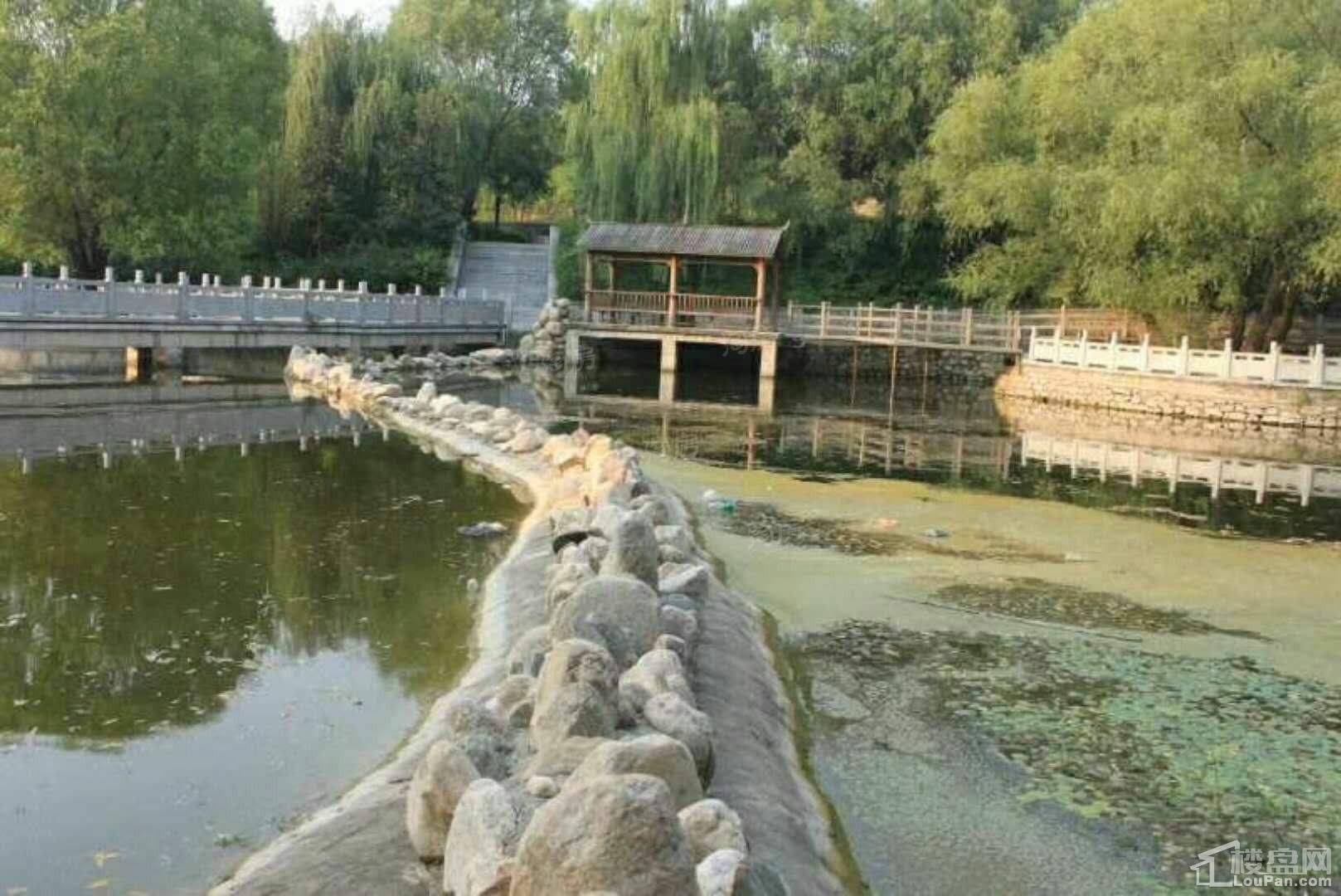 鎏源效果图