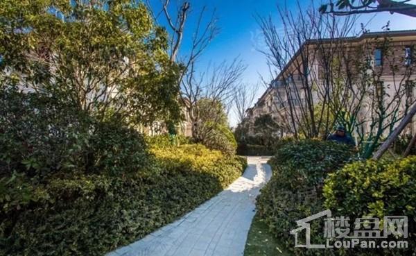 中信泰富锦园实景图