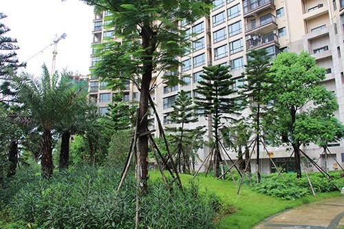 实景图