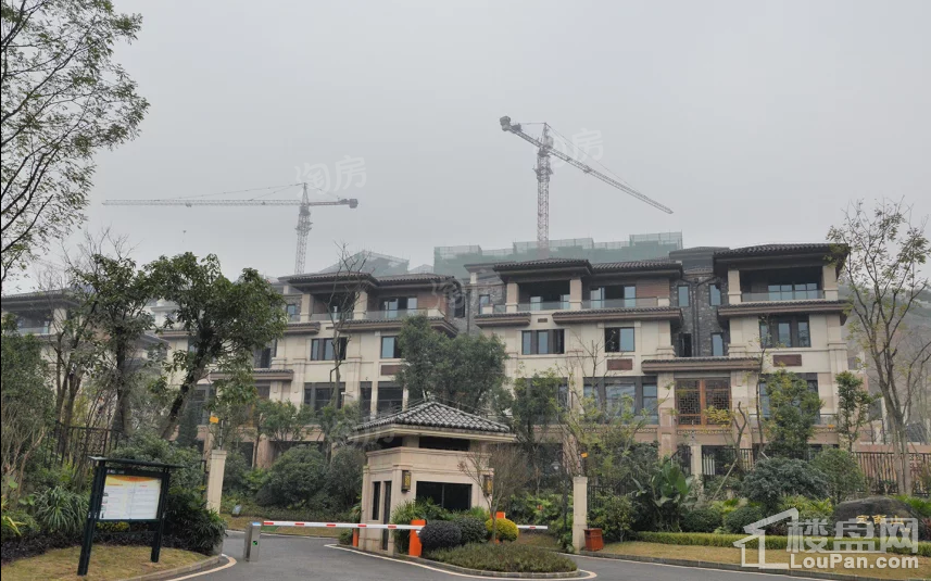 东海定南山实景图