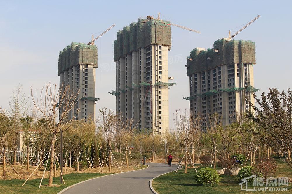 金鼎华郡实景图