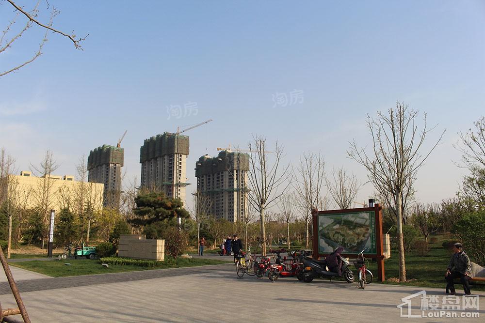 金鼎华郡实景图