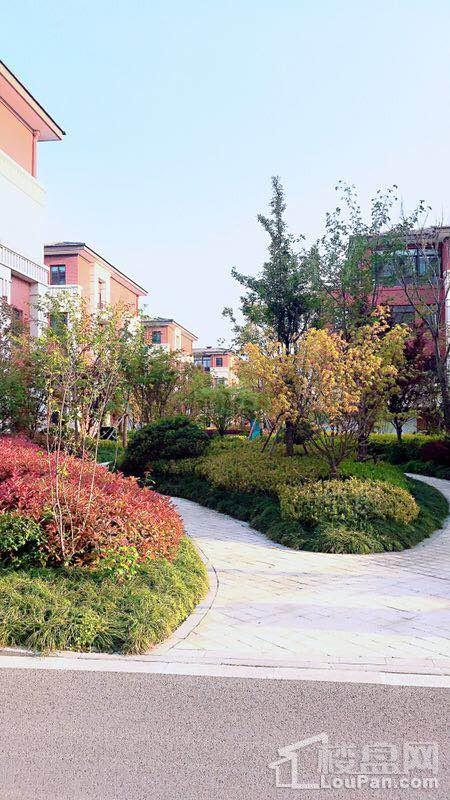 汇智津园实景图