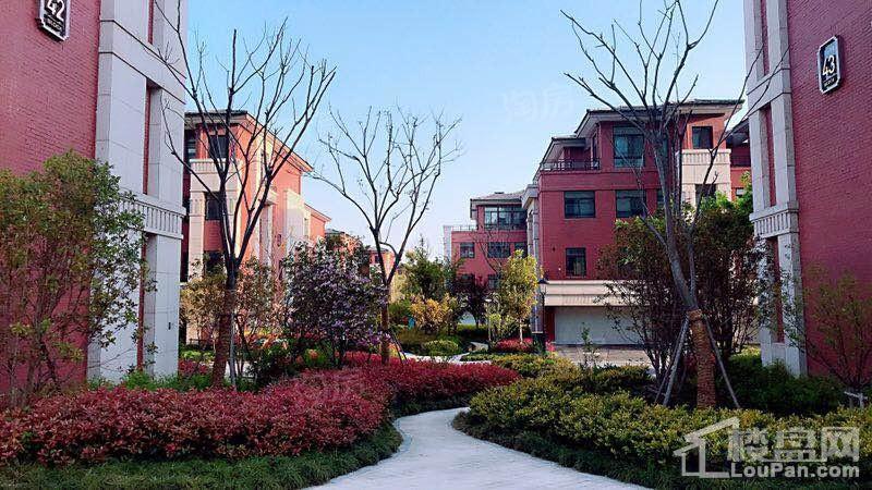 汇智津园实景图