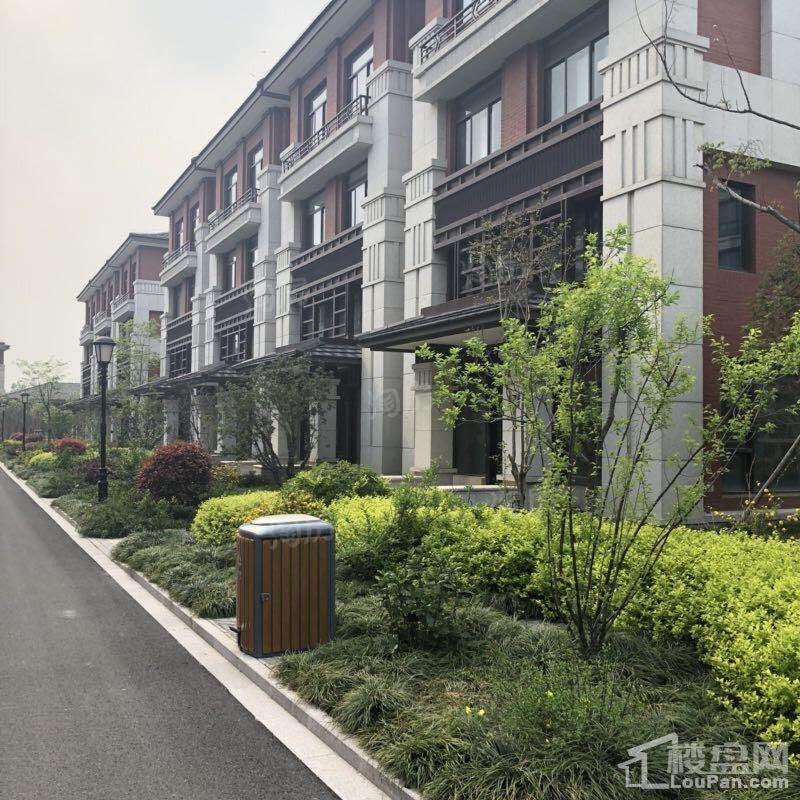 汇智津园实景图