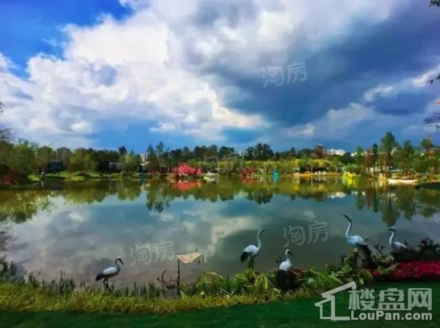 碧桂园·KCC·云南映象实景图