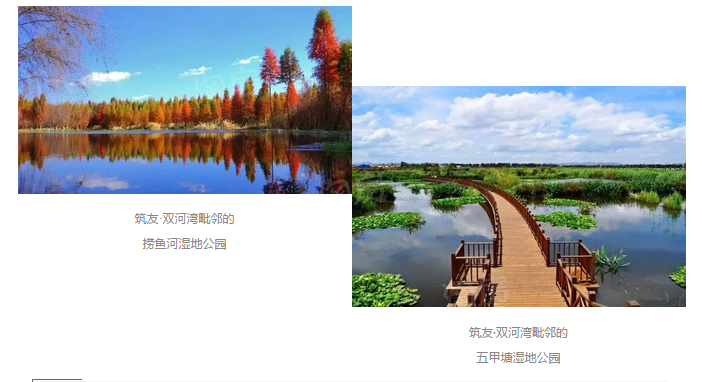 筑友双河湾效果图