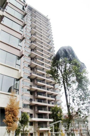 颐林尚都实景图