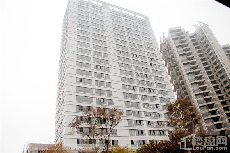 颐林尚都实景图