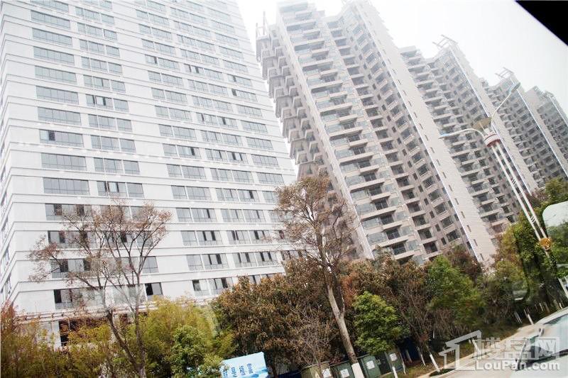 颐林尚都实景图