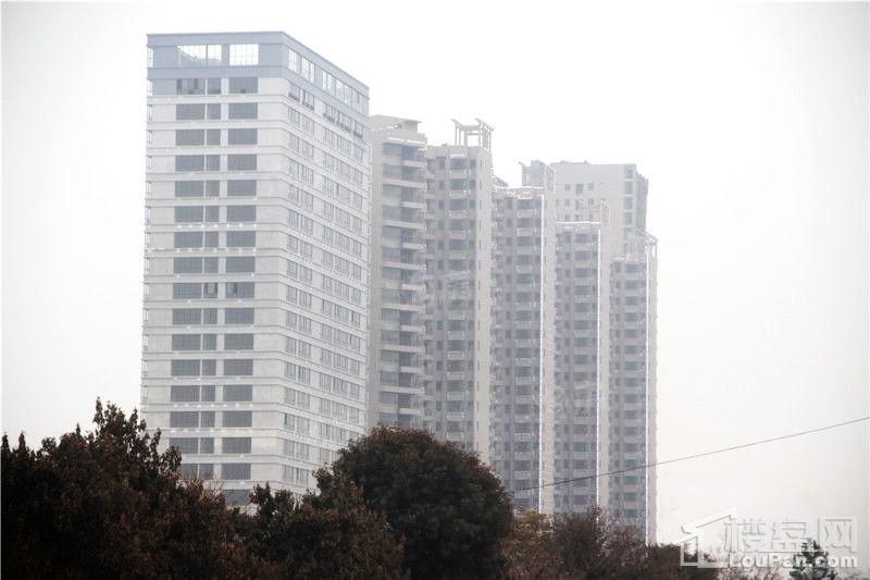 颐林尚都实景图