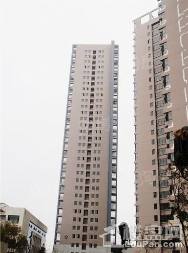 颐林尚都实景图