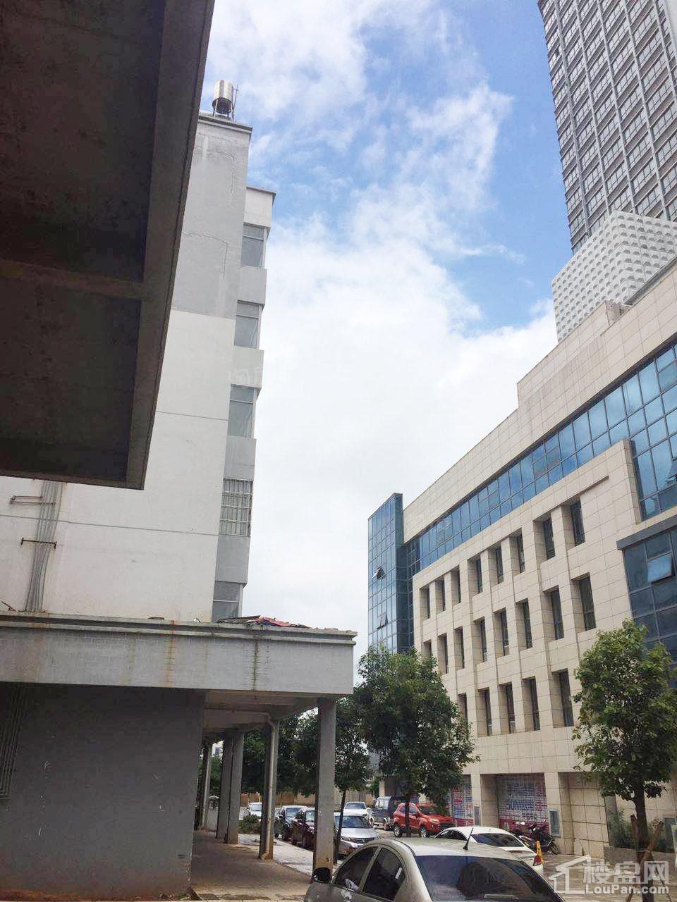 实景图