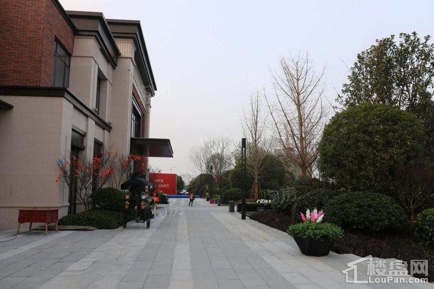 新力星塘湾实景图