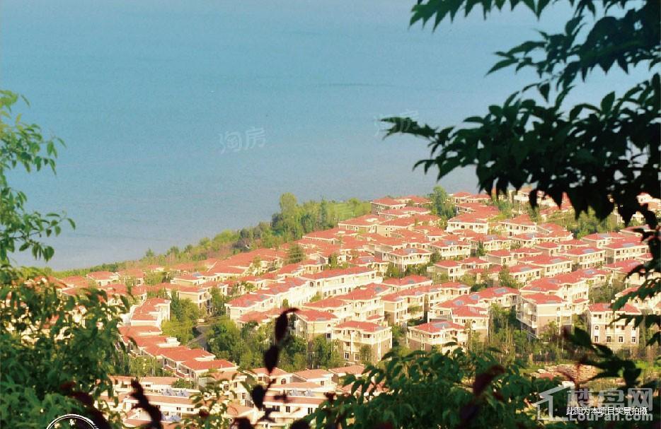 山水湖畔实景图