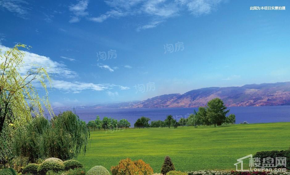 山水湖畔实景图