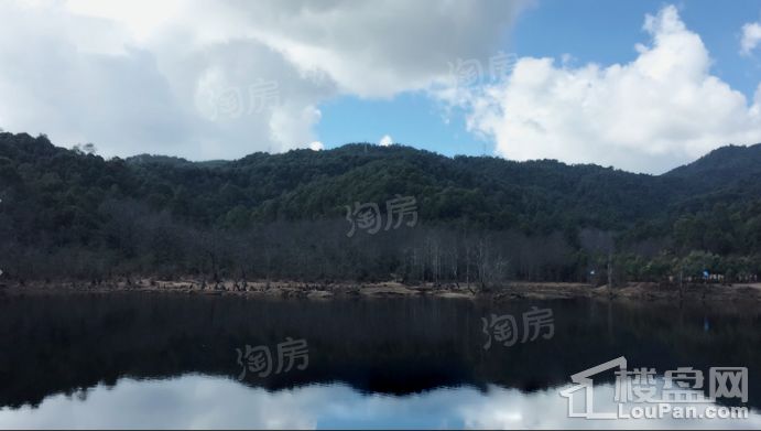 凤凰保集·伊甸园实景图