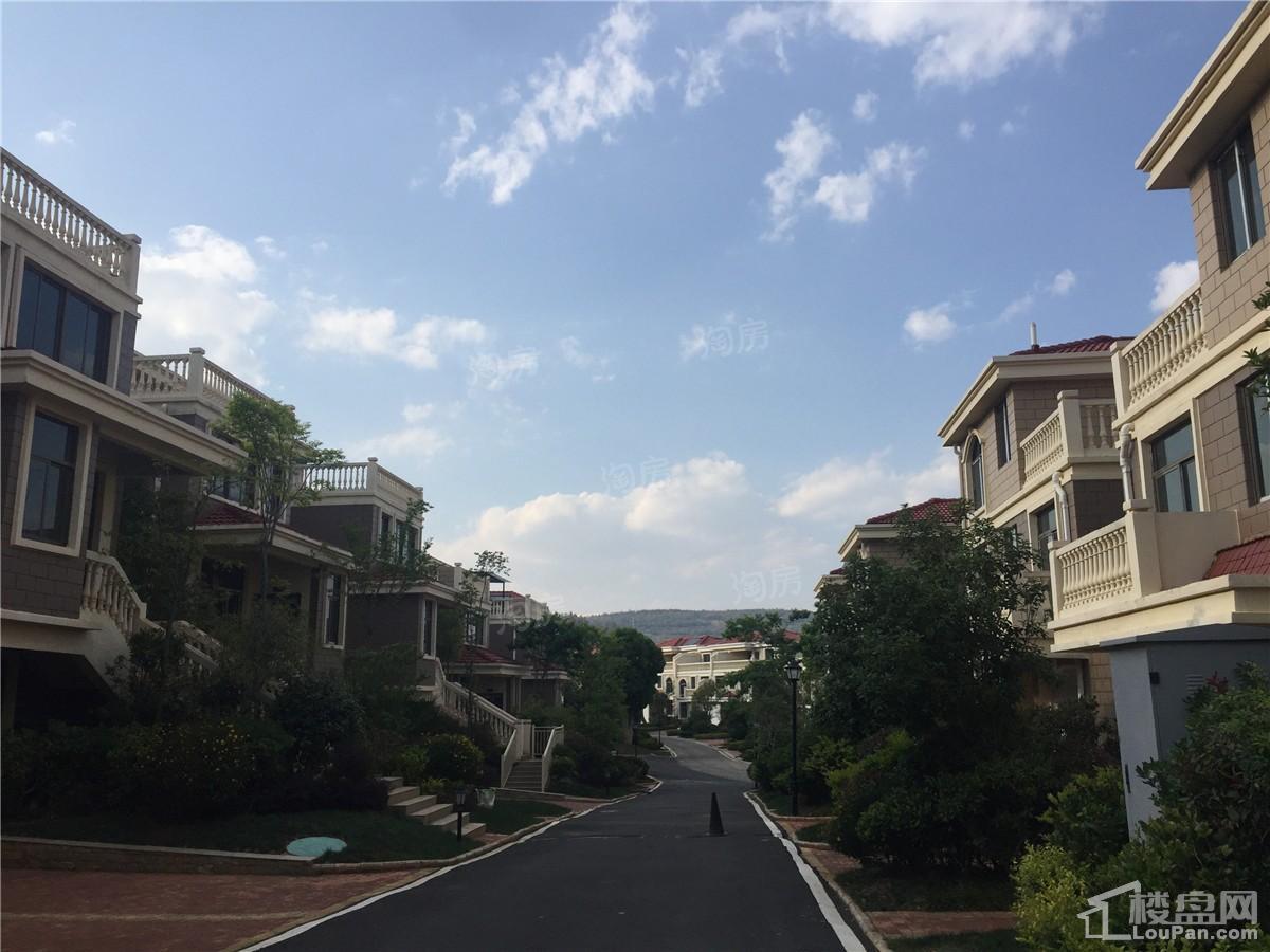 山水湖畔实景图