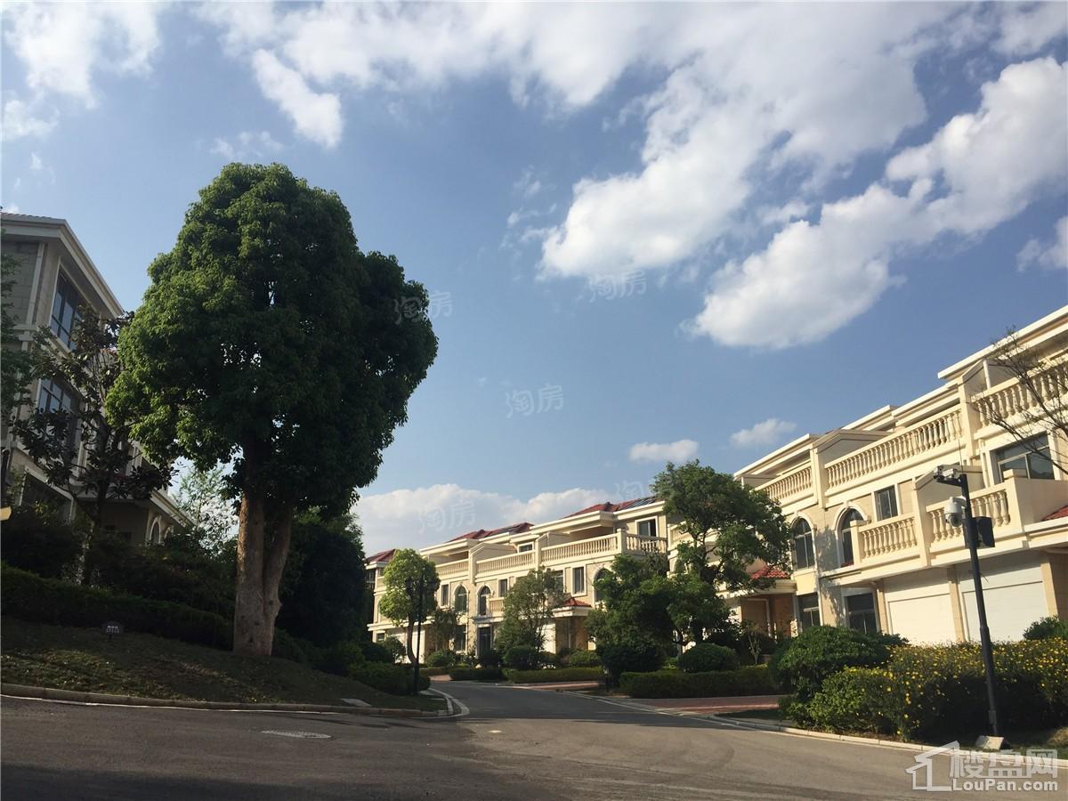 山水湖畔实景图