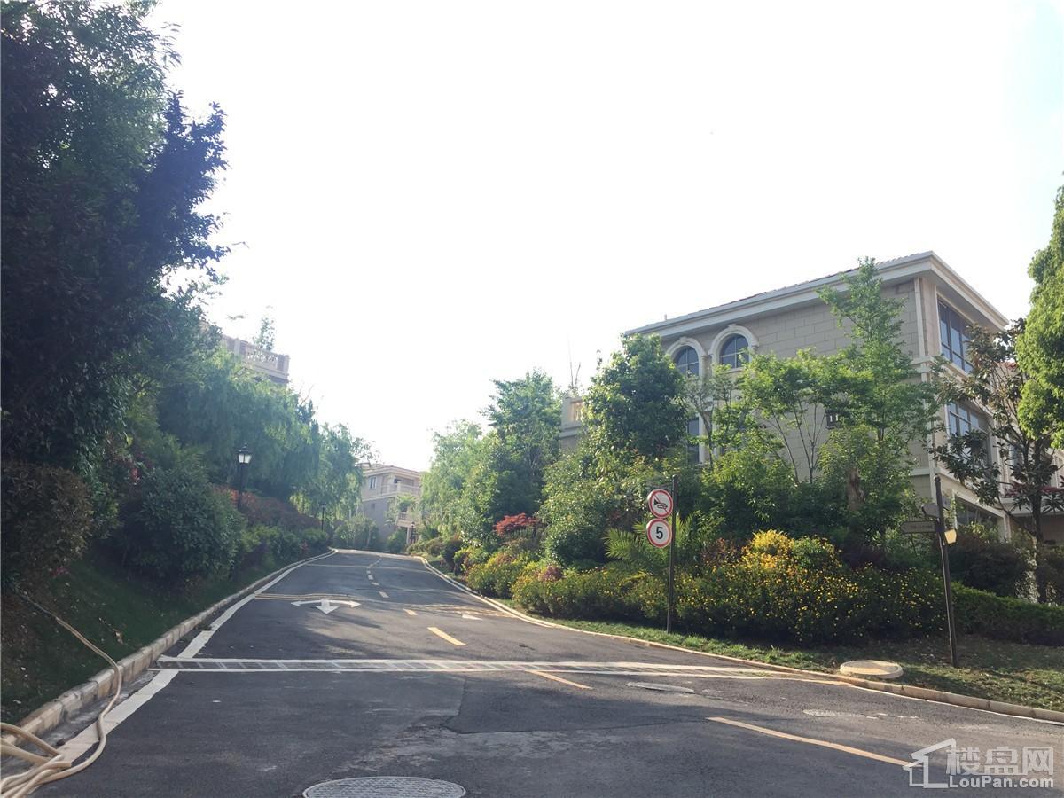 山水湖畔实景图