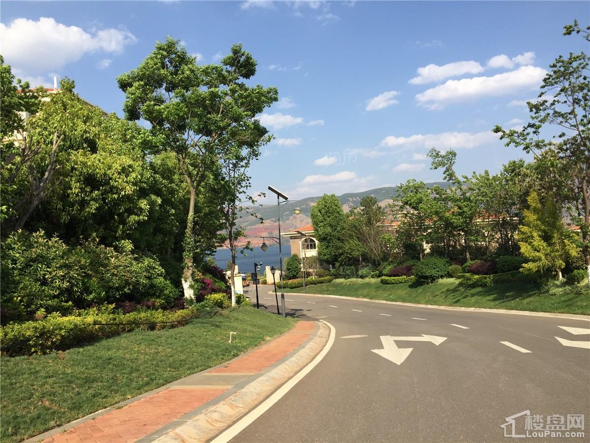 山水湖畔实景图