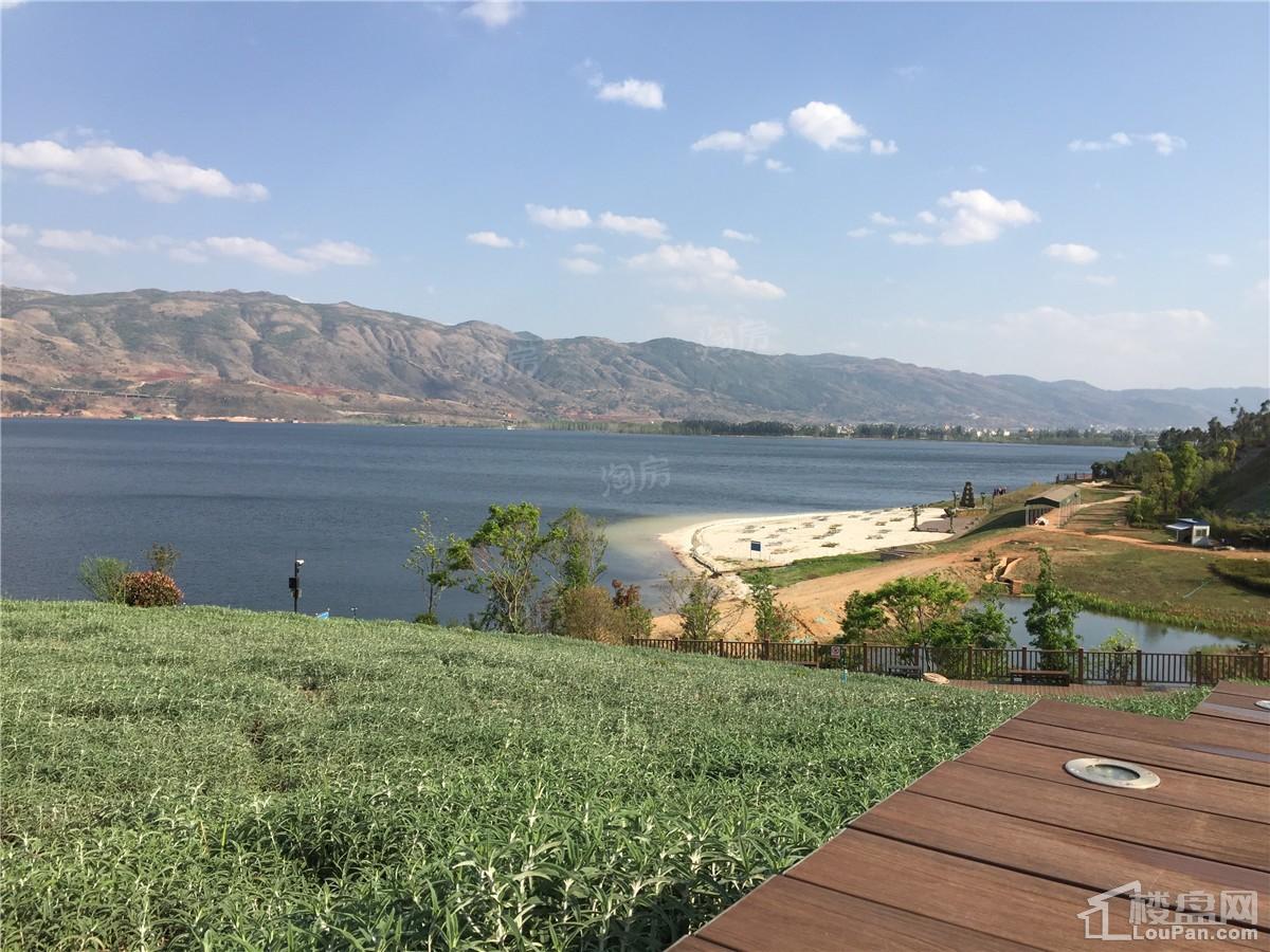 山水湖畔实景图