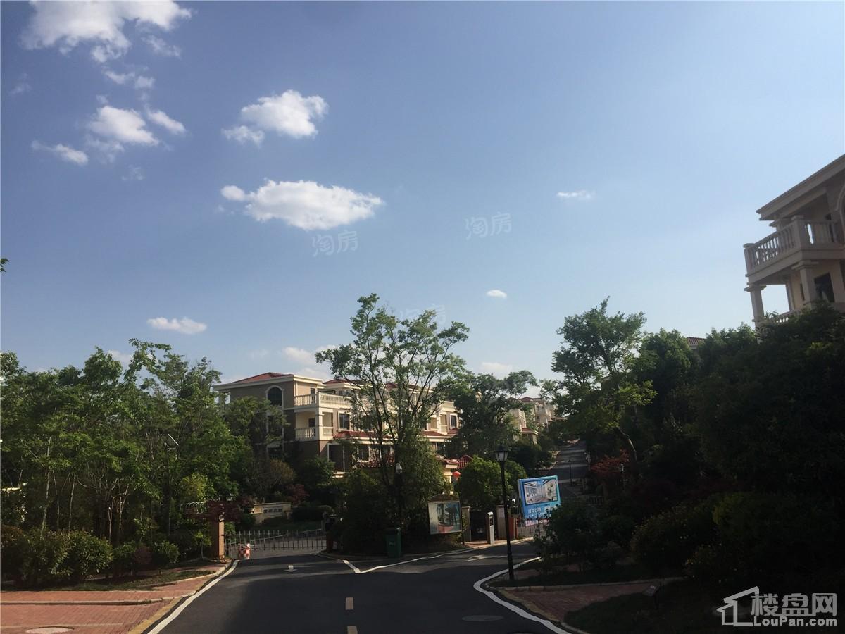 山水湖畔实景图