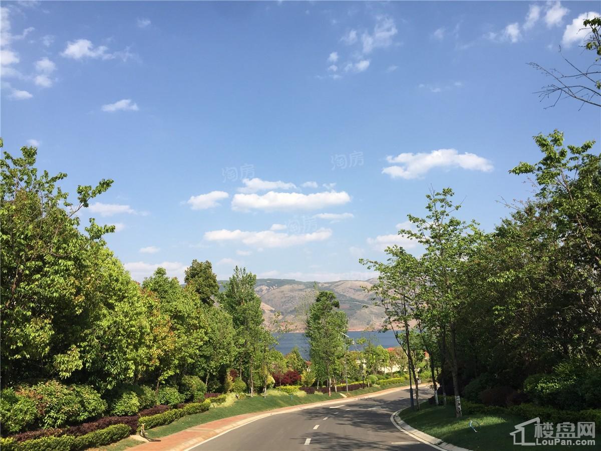 山水湖畔实景图