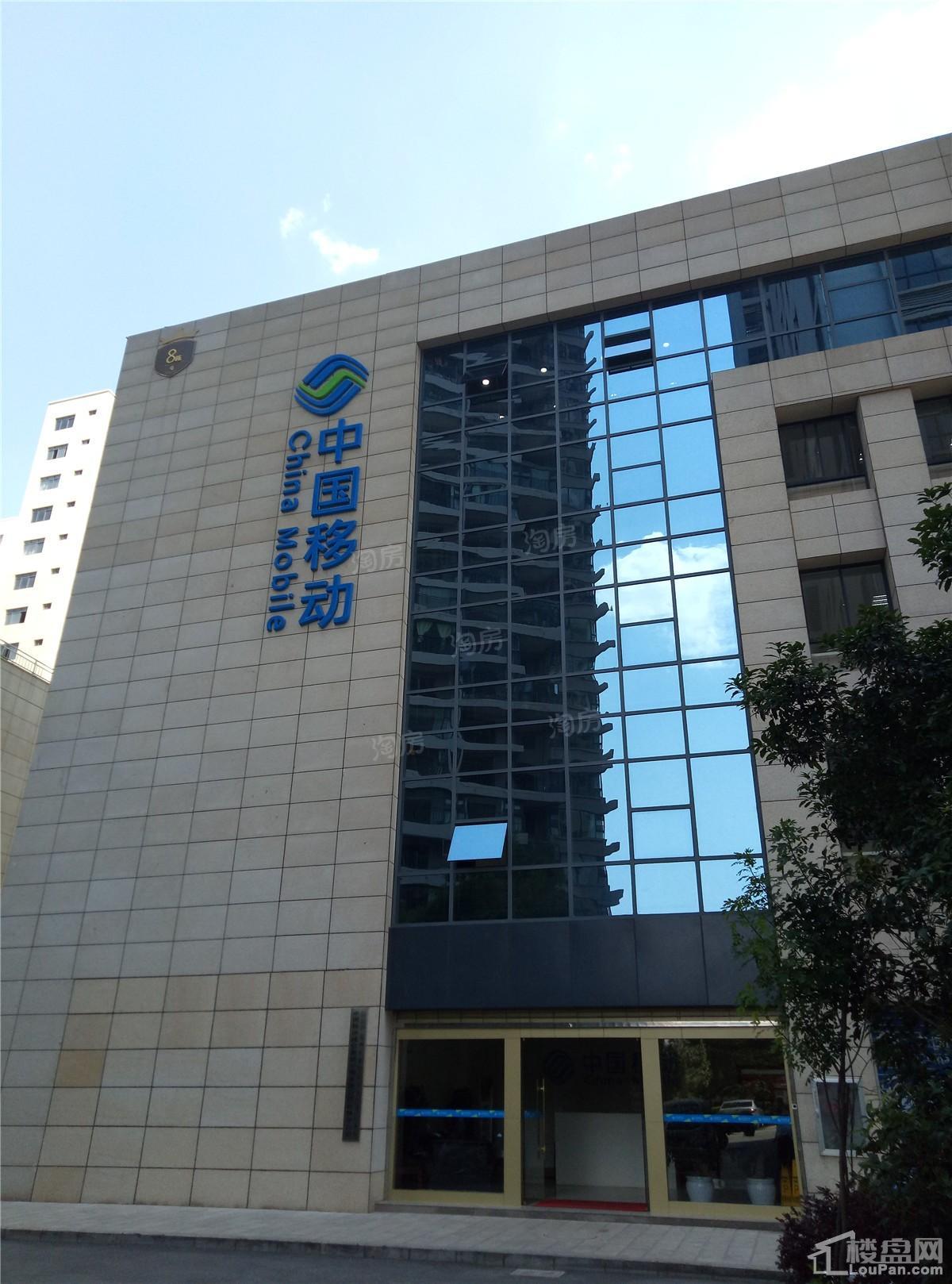 颐林尚都实景图