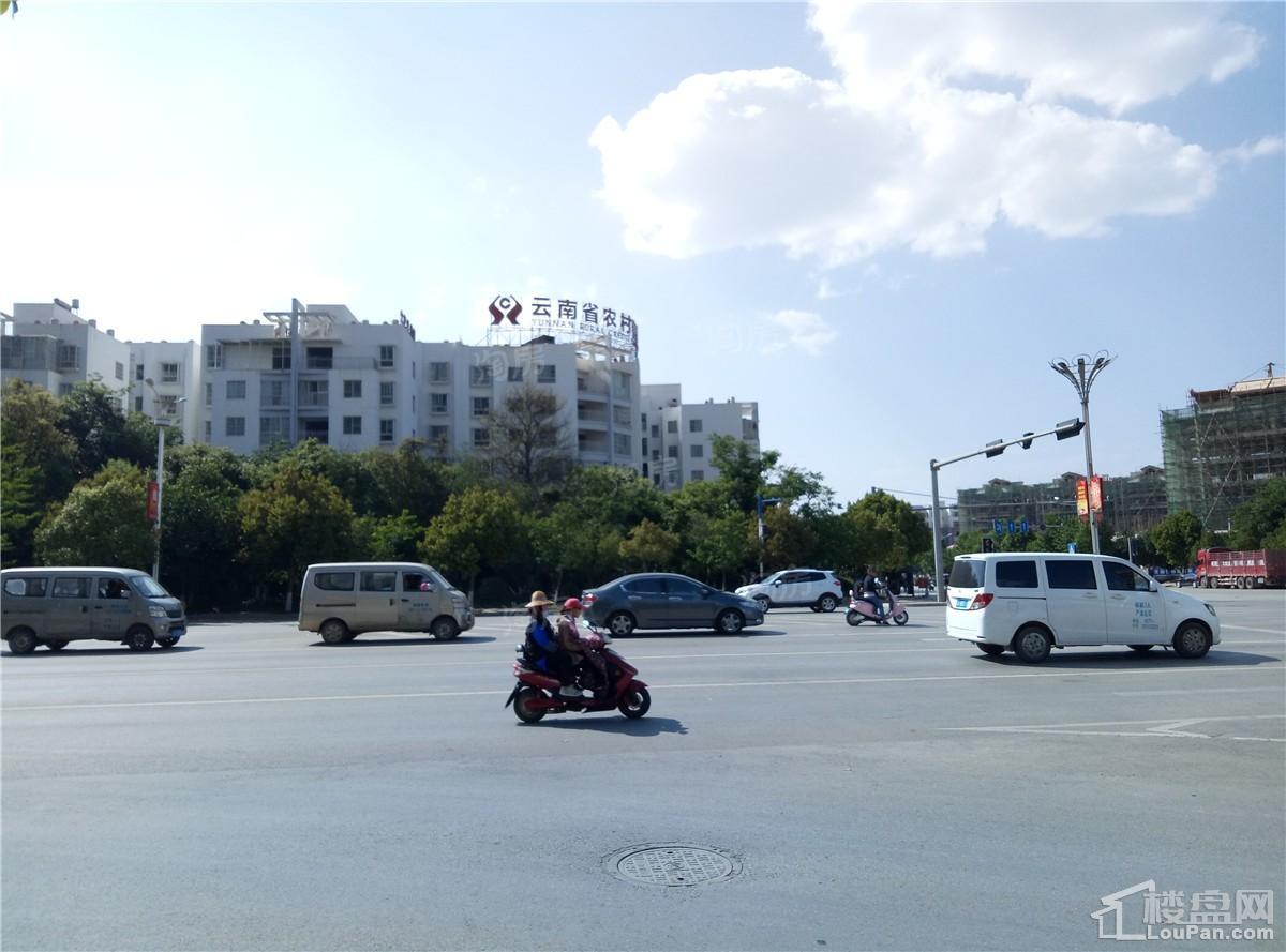 颐林尚都实景图