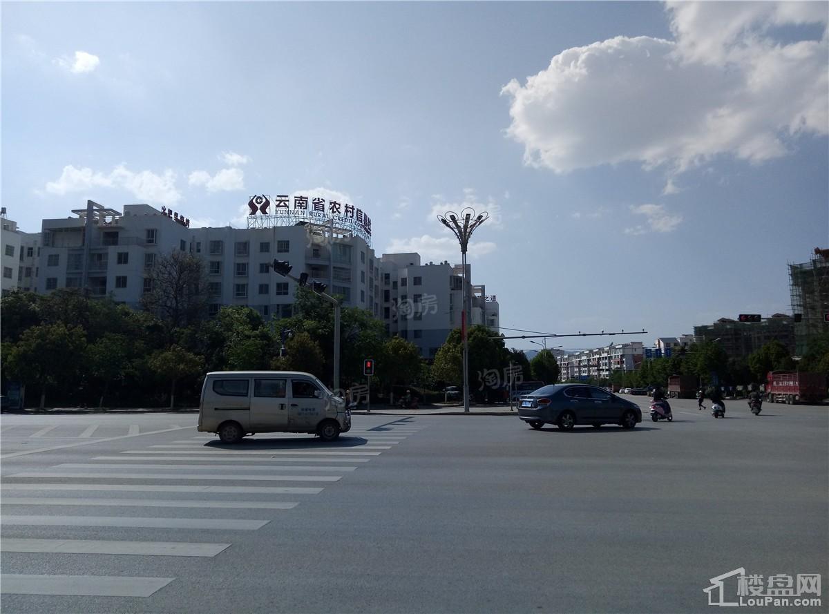 颐林尚都实景图
