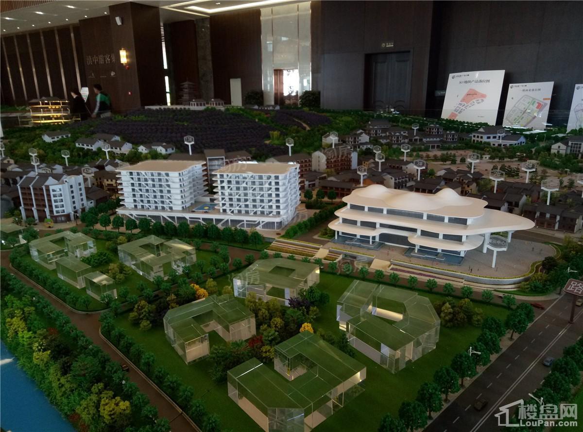 抚仙湖·广龙小镇实景图