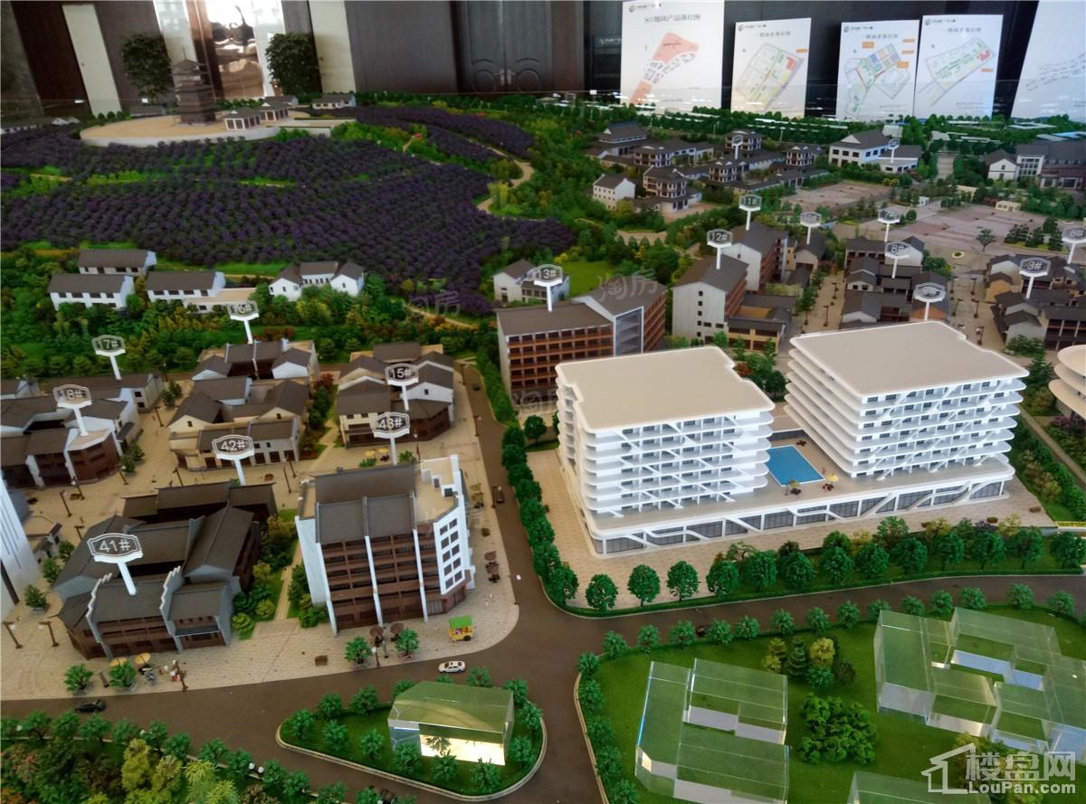 抚仙湖·广龙小镇实景图