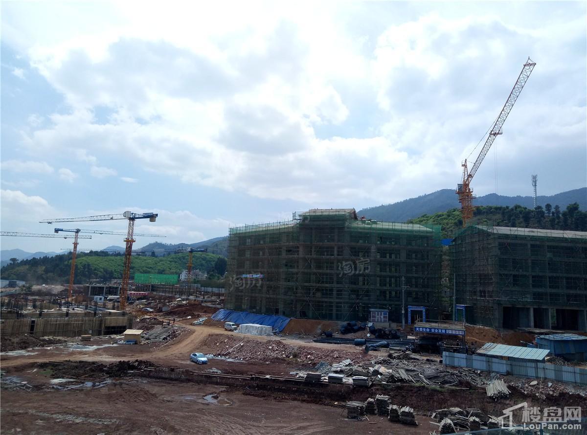 抚仙湖·广龙小镇实景图