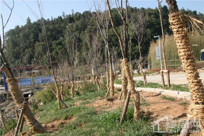 玛御谷温泉小镇实景图
