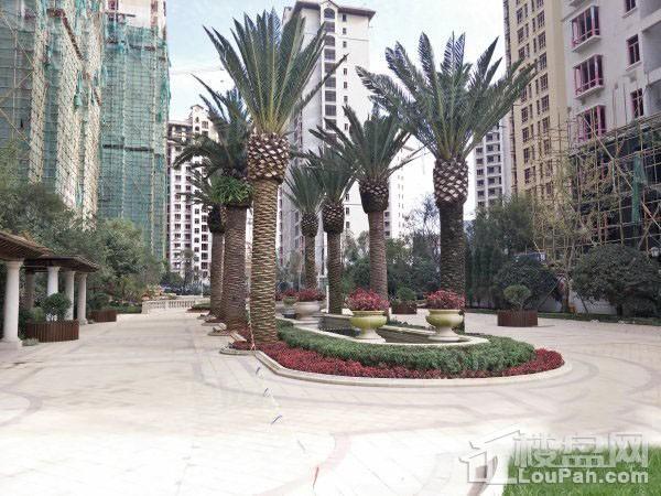 兴冶国际实景图