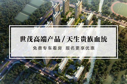 世茂璀璨时代效果图