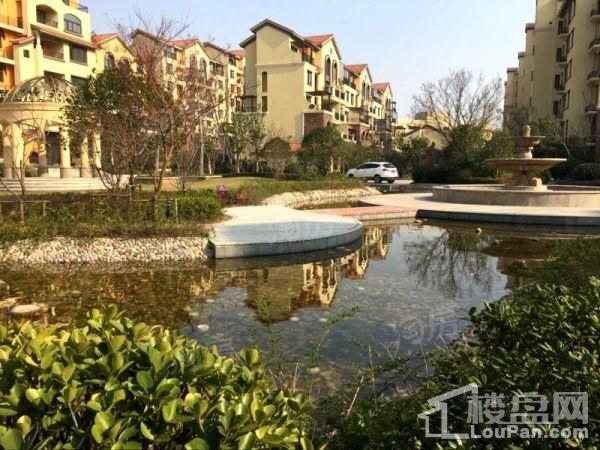 效果图