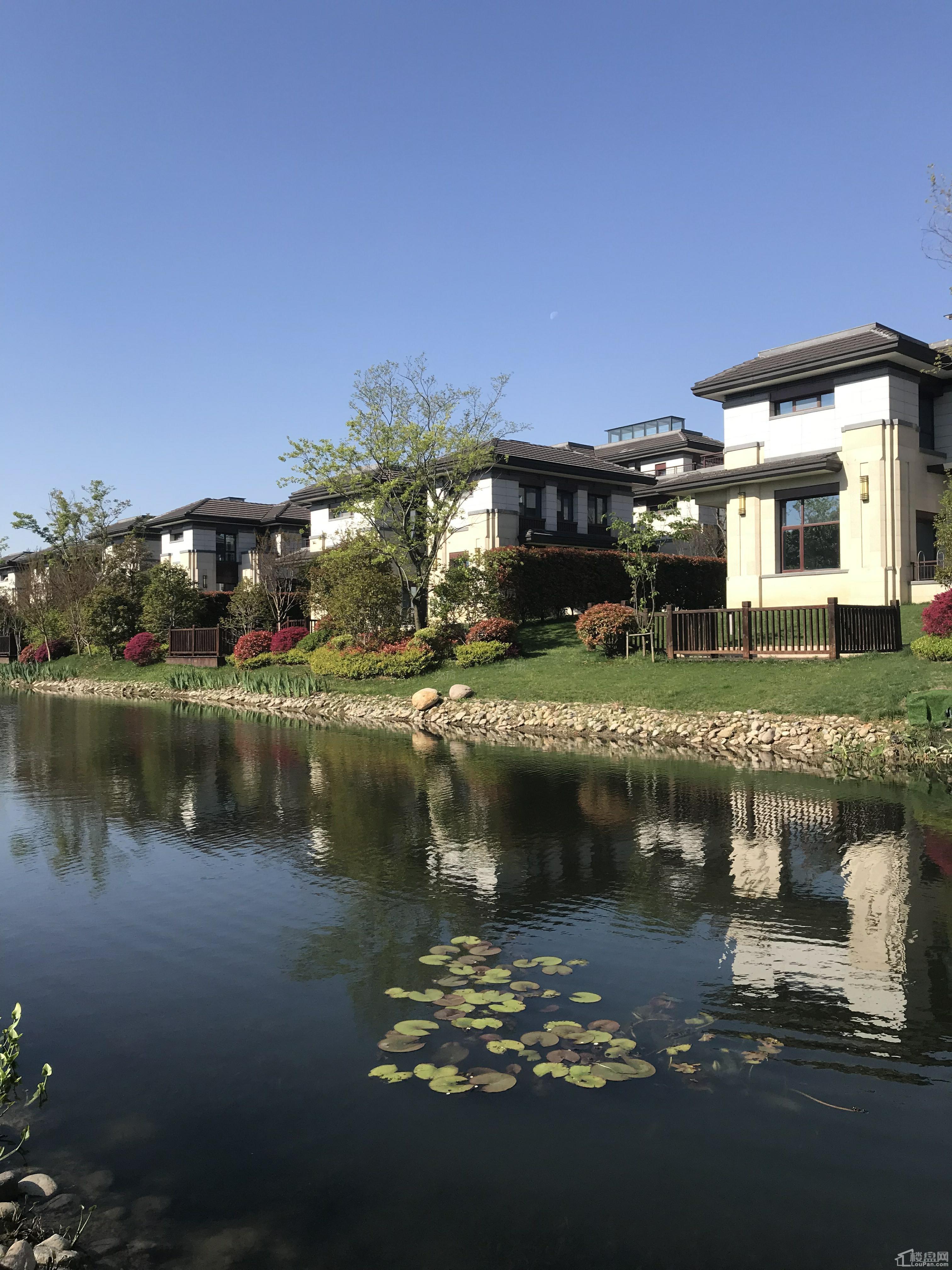 恒润太湖壹号实景图