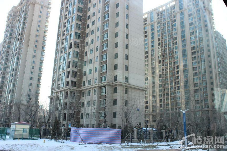 实景图