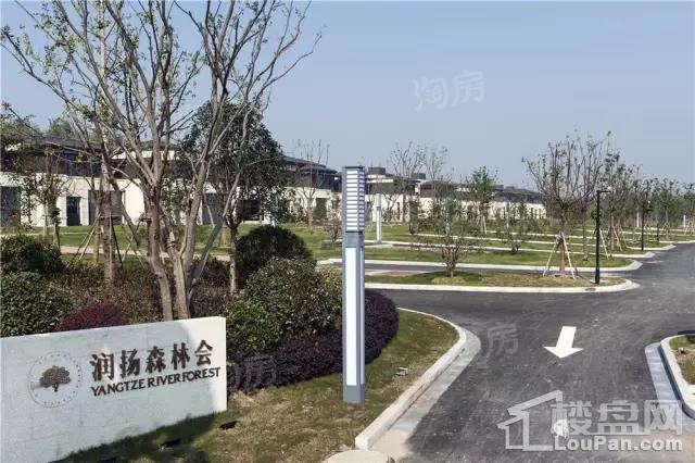 润扬森林会实景图