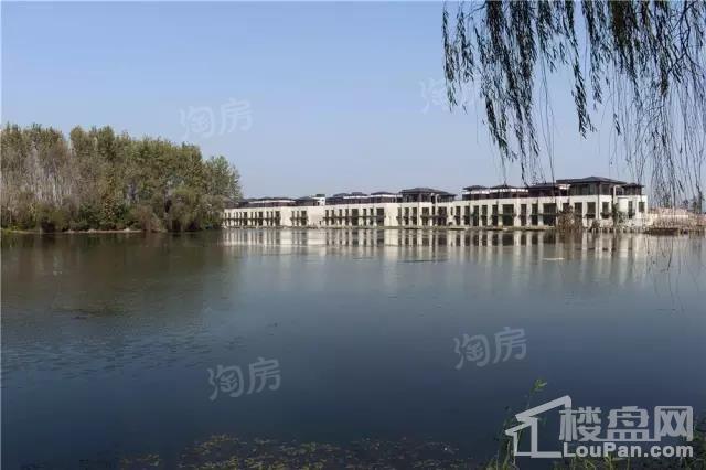 润扬森林会实景图